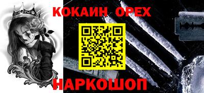 СК Камень-на-Оби