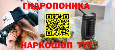 СК Камень-на-Оби