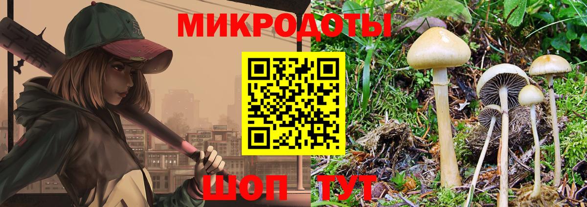 Псилоцибиновые грибы Psilocybe Борзя